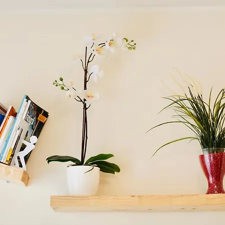 דירה Amazing Vaticano רומא